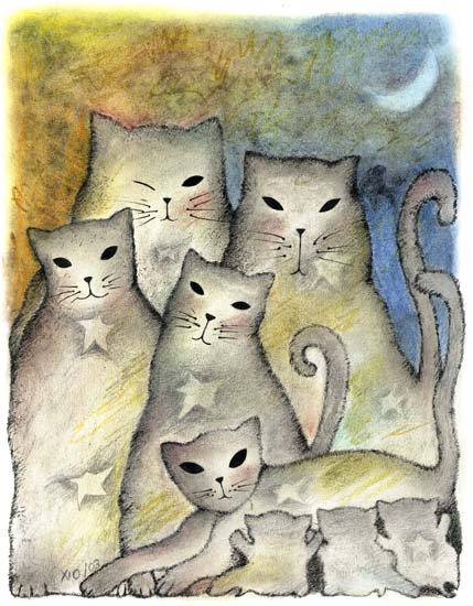 15-gatos