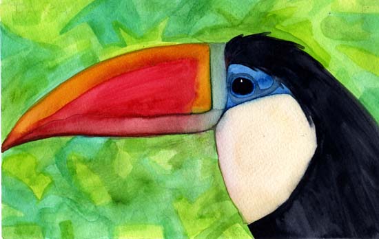 32-tucan