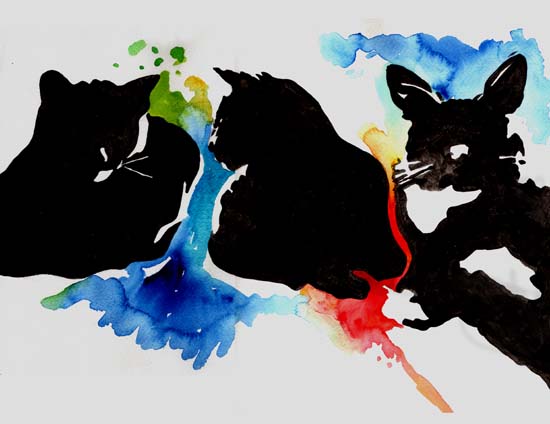 35-3 gatos negros