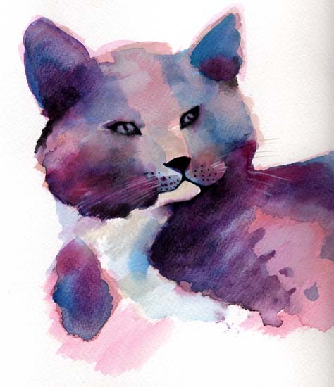 45-gato en morado